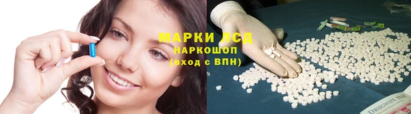 стаф Коряжма