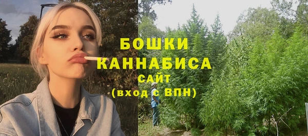 хмурый Карпинск