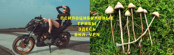 хмурый Карпинск