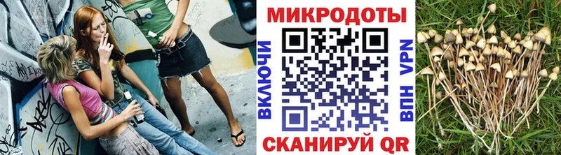 Галлюциногенные грибы ЛСД  Купить закладки  Ипатово 